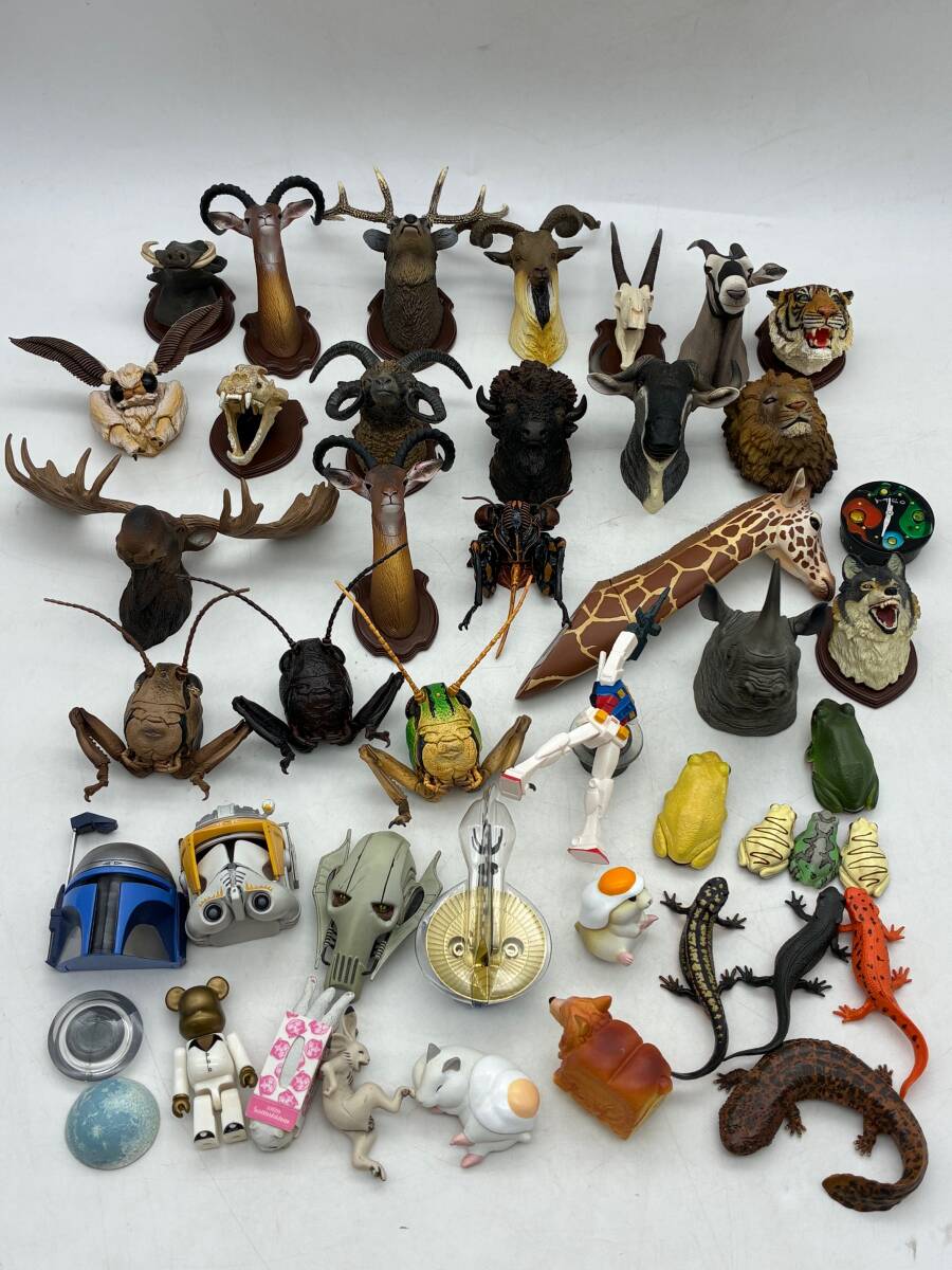 マグネット集◆立体カプセル百科事典 ハンティングトロフィー 立体昆虫顔面図鑑 動物 爬虫類 昆虫 岡本太郎光る時計 MONO PLUSガチャガチャ