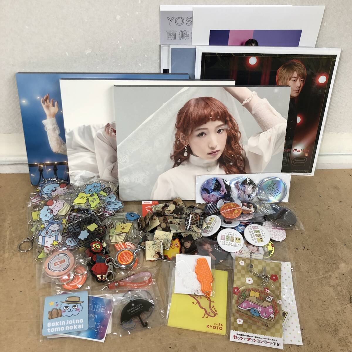 南條愛乃 fripSide グッズ まとめ売り フォトパネル 缶バッジ アクリルキーホルダー チャーム ストラップ 他 251225SK920518