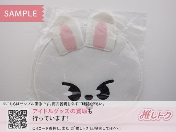 Stray Kids LEE KNOW うちわケース リノ Leebit リービット [良品]