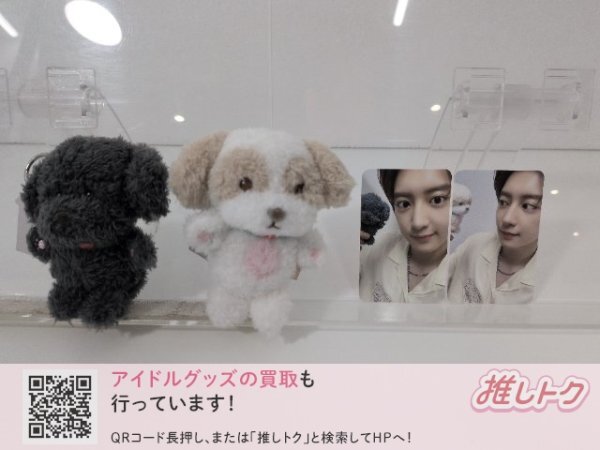 ■ グッズセット TOBEN ZZAR 10cm DOLL 2点セット EXO チャニョル トレカ付き [良品]