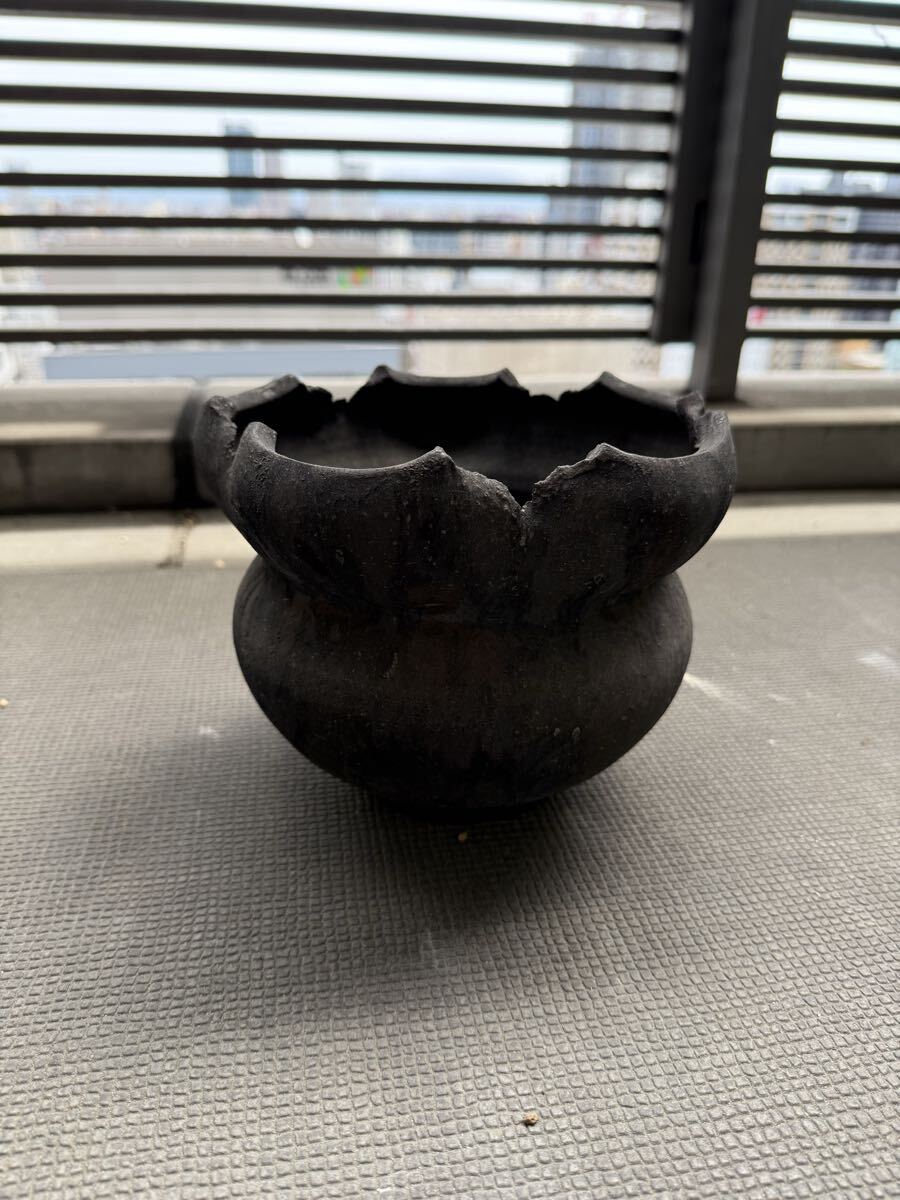 Y鉢　細川政己　陶器鉢　塊根植物　コーデックス　アガベ　パキプス　グラキリス