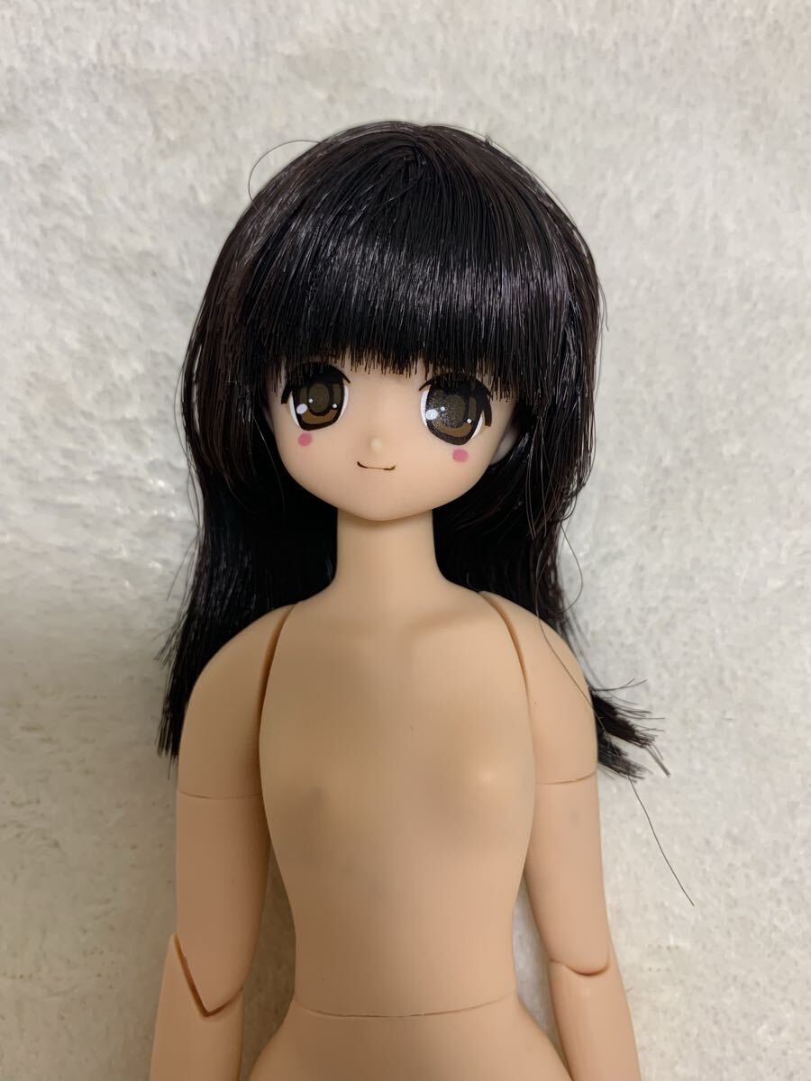 アゾン 1/6スケール カスタムドール 本体のみ 黒髪ロング ピュアニーモ